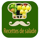 recettes de salade 2016 APK