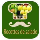 recettes de salade 2016 icône
