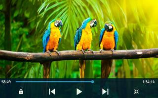 Full HD Video Player الملصق