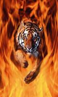 Harimau Api Kertas Dinding capture d'écran 3