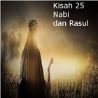 Kisah 25 Nabi dan Rasul ícone