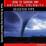 Survive Any Natural Calamity icon