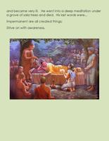 The Life of Siddhartha Guatama ภาพหน้าจอ 2