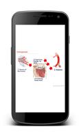 Medlearn | Cardiology screenshot 2