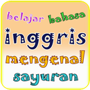 Learn Indonesian - Vegetables APK