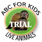 ABC FOR KIDS LIVE ANIMAL TRIAL-icoon