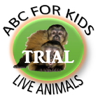 ABC FOR KIDS LIVE ANIMAL TRIAL icono