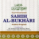 Hadith Sahih Bukhari - English aplikacja