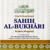 Hadith Sahih Bukhari - English-icoon