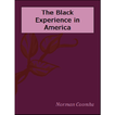 ”The Black Experience in Americ