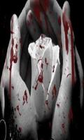 Bloody Rose (YA Novella)-poster