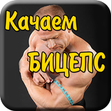 Качаем бицепс Упражнения Совет icon