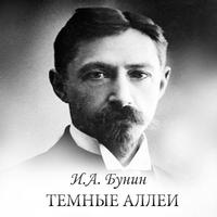 И.А.Бунин "Тёмные аллеи" 海报