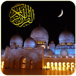 Sacro Corano (Italiano)