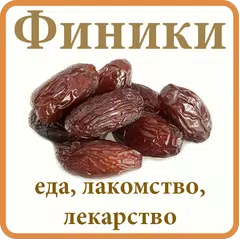 Финики - еда и лекарство APK download