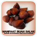 APK Manfaat dan Khasiat Buah Salak