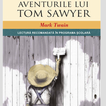 Aventurile lui Tom Sawyer DEMO