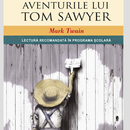 Aventurile lui Tom Sawyer DEMO APK