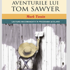 Aventurile lui Tom Sawyer DEMO Zeichen