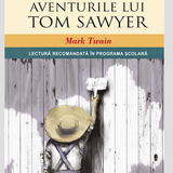 Aventurile lui Tom Sawyer DEMO icône