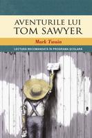 Aventurile lui Tom Sawyer DEMO syot layar 2