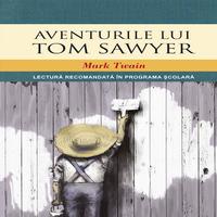 Aventurile lui Tom Sawyer DEMO Ekran Görüntüsü 3