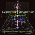 Шейх Назим Эфенди. Суфийские д 圖標