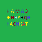 КЫРГЫЗ-НАМАЗ ЖӨНҮНДӨ НАСИКАТ icône