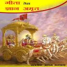 Gita Tera Gyan Amrit-icoon