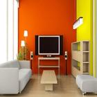 Home Painting Ideas icône