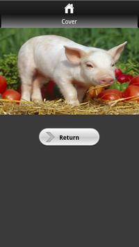 Pig Picture Book for Kids screenshot 1