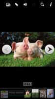 Pig Picture Book for Kids imagem de tela 3