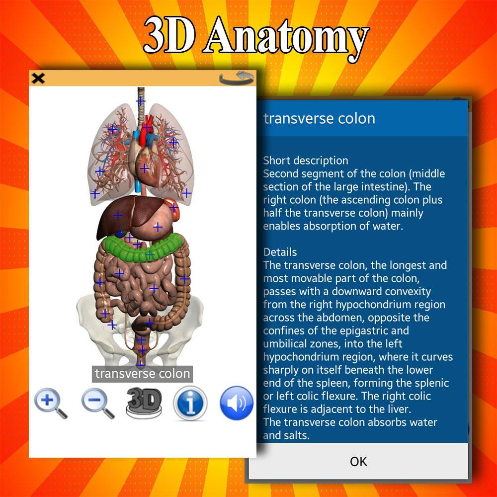 Vollstandige Anatomie Lernen Fur Android Apk Herunterladen