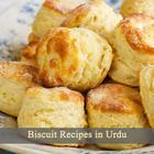 Biscuit Recipes in Urdu icône