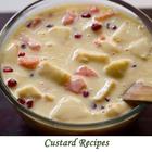 Cream Custard Recipes in Urdu -Trifle, Fruit, Cake icône