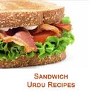 Sandwich Recipes in Urdu icon