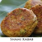 Shami Kebab Recipes 图标
