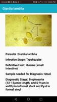 Medical Parasites 截图 1