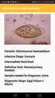 Medical Parasites 截图 2