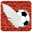 Soccer Bird