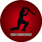 Cricket Live Prediction アイコン