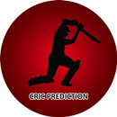 Cricket Live Prediction aplikacja