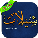 شيلات سعوديه بدون نت APK