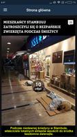 Kwejk.pl পোস্টার