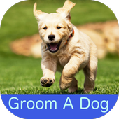 Groom a Dog icon