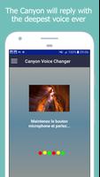 Canyon is listening – voice changer اسکرین شاٹ 2