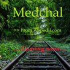 Medchal-icoon