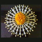 Flower Rangoli icon