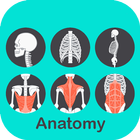 A to Z Anatomy 图标