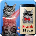 Cat scanner joke